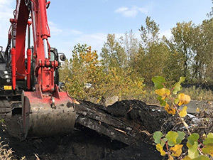 October 2020 - Test pit excavation at Site 110